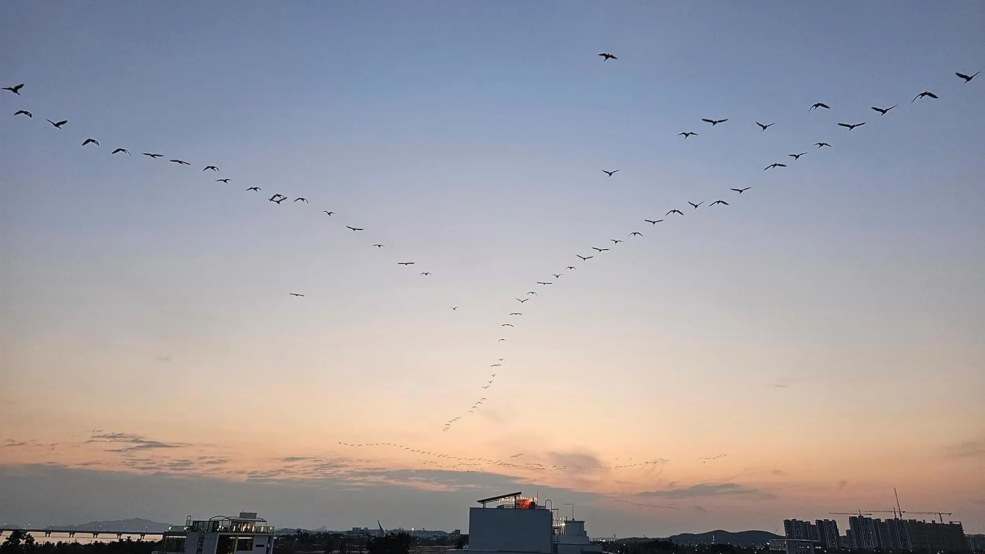 Miracle Suite House 201 Pool Villa Incheon Korsel