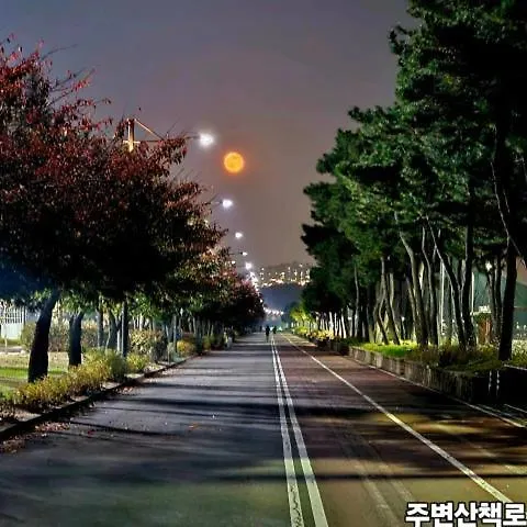 Villa Miracle Suite House 1 Incheon